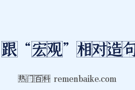 跟“宏观”相对造句是什么意思的图片